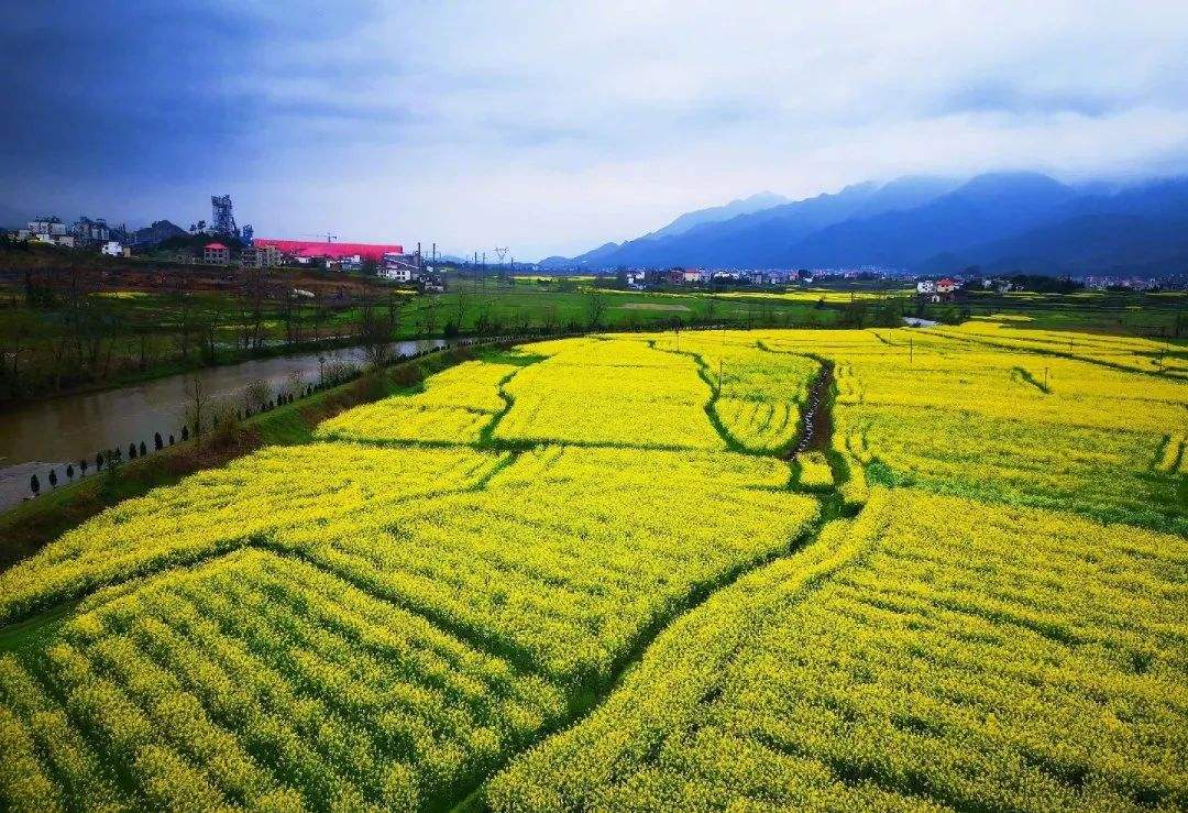 生态气象专题服务