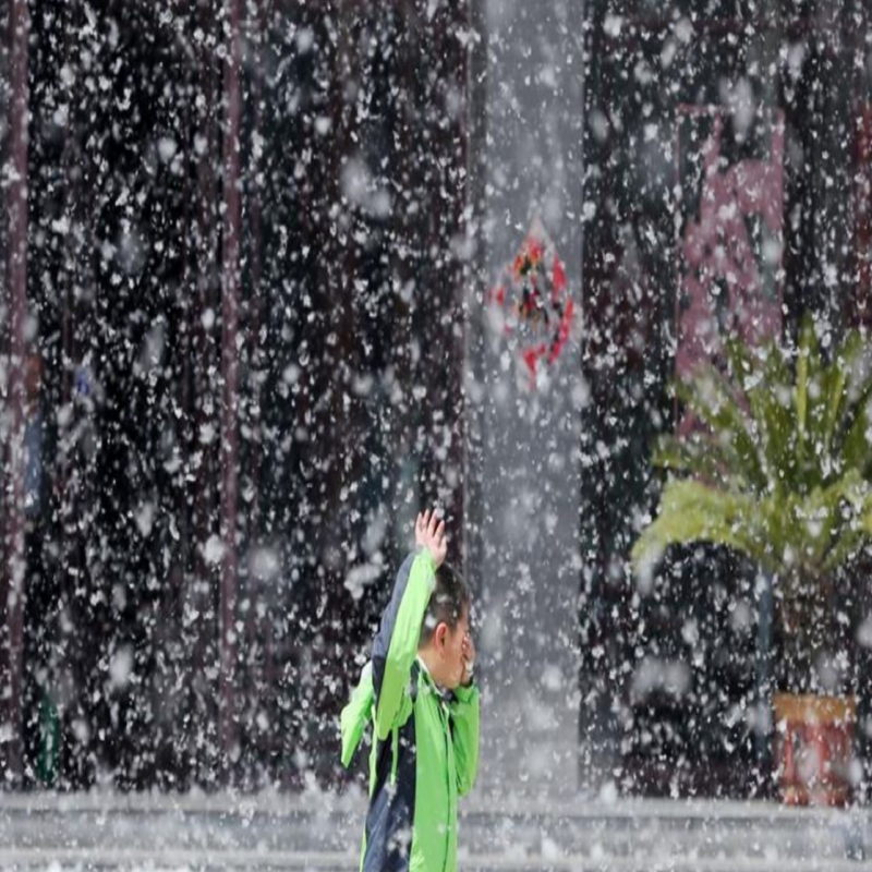 梧桐飘絮精细化预报产品